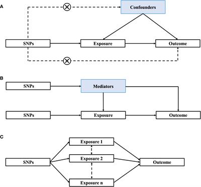 Review of mendelian randomization studies on age at natural menopause